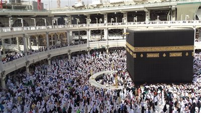 قصة تدمع لها العين
