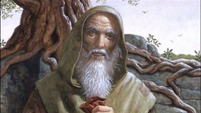 بعد ۏفاة السيدة فاطمة