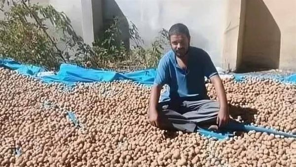 موقع أيام نيوز